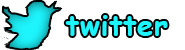 Twitter Company Page Link